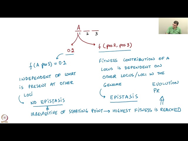 Week 5 : Lecture 24 : Epistasis and structure of landscape.