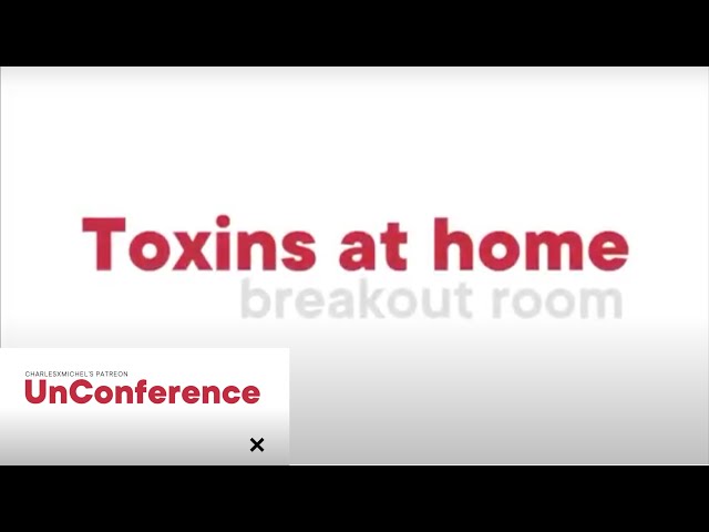 Toxins at Home • Breakout Room Charles Michel UnConference #1 | Toxinas en el Hogar