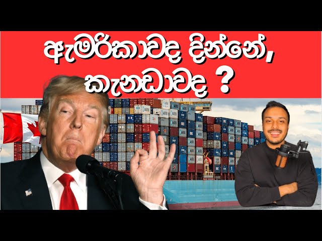 ට්‍රුම්ප් ගේ තුරුම්පුව - දවස් 30කට වෙච්ච දේ | Podcast 7 Sinhala Canada - Vishmith W