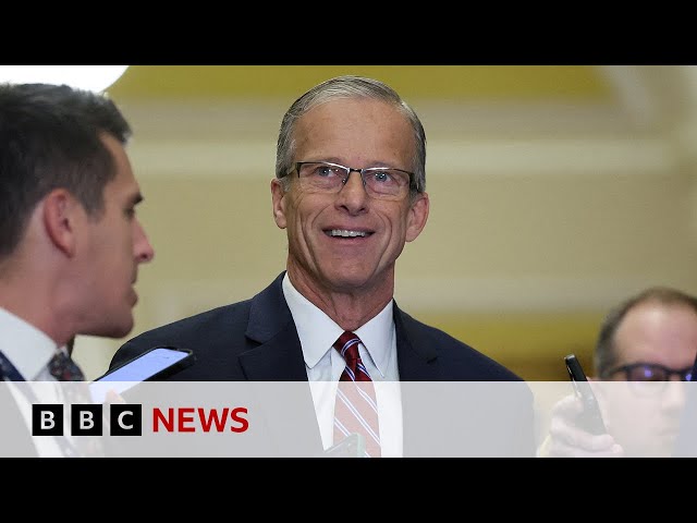 John Thune elected new republican Senate leader | BBC News