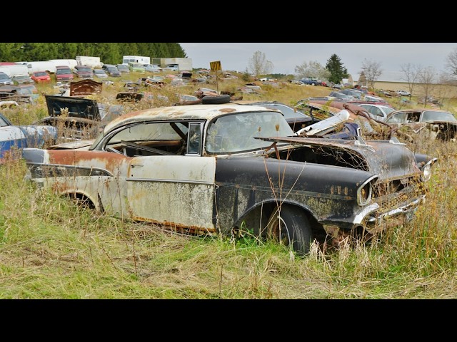 MUSCLE CARS rusting away in Junkyard for decades!