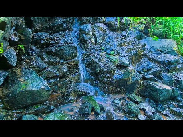 Nature sounds for sleeping, babbling brook, forest sounds in the morning, Relaxing River Sounds