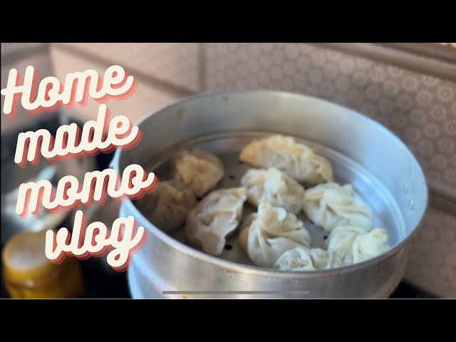 Home made momo  vlog | sponsered by @sanskarpandit4255