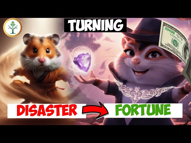 Hamster Kombat Airdrop Fallout: 5 Key Actions for CEOs to Bounce Back