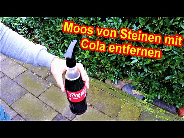 Moos von Steinen mit Cola entfernen – Moosentferner aus Cola für Terrasse, Dach & Dachziegel