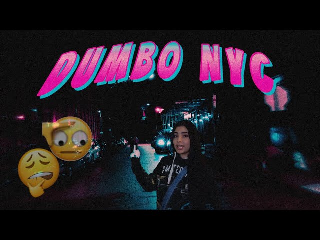 Dumbo NYC Picture Op Journey 🫡