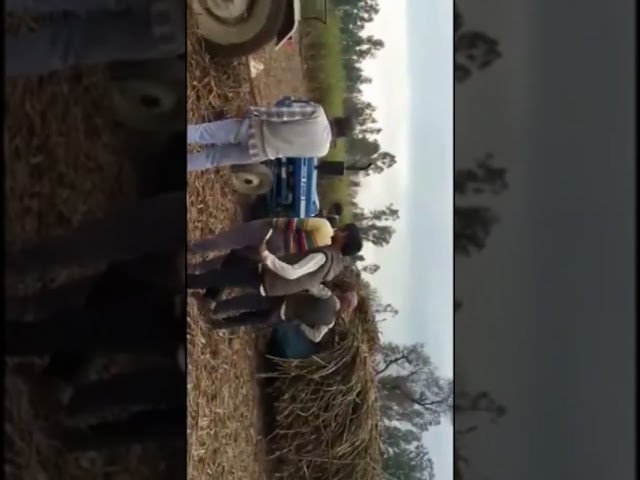 Power on Trolly part 1 jabardast jor dono kaa #tractor #kisan #farmer #farming #power #village