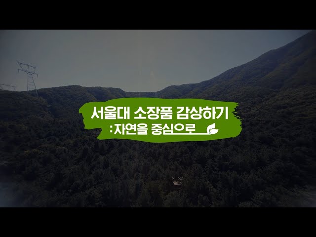 서울대학교 K-MOOC '서울대 소장품 감상하기 : 자연을 중심으로'