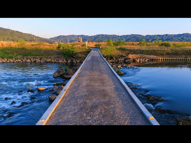 Golden Hour Walk by River and Fields near Small Town | Kameoka, Japan 4k