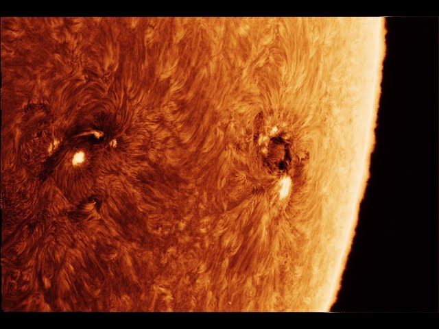 Sun - Solar activity live view!