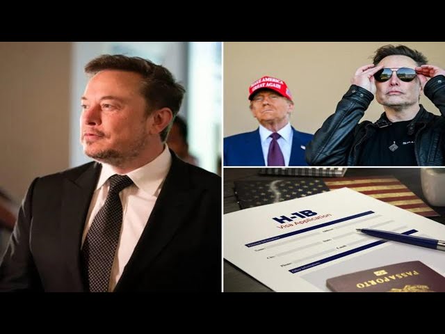 Trump supports immigration visas backed by Musk: ‘I have many H-1B visas on my properties’