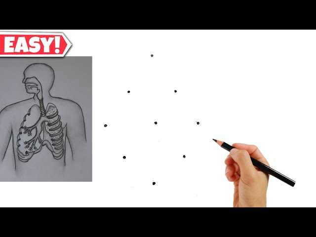 Dots की मदद से Human respiratory system Diagram // Easy Human respiratory system Diagram