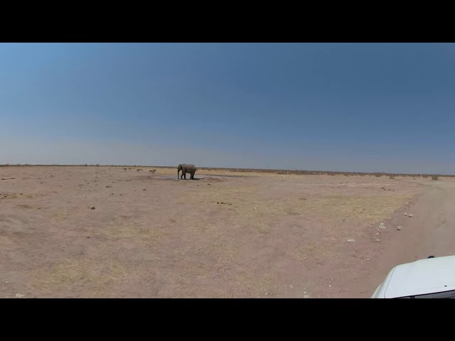 VR 360° 4K - Elephant at the Waterhole - Namibia, Africa