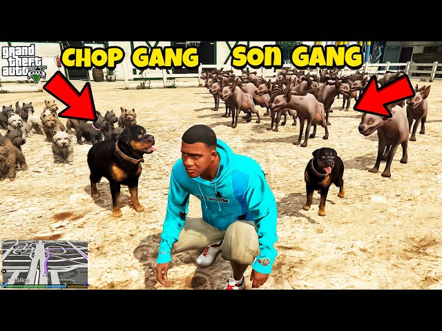 Franklin Found Chop's Secret Gang And Wife In GTA 5 | SHINCHAN and CHOP