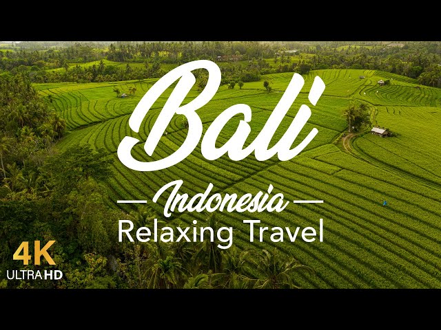 You Won't Believe The Latest From Bali Indonesia 4K relaxing travel w/ beautiful nature destination