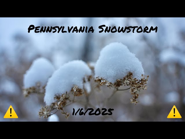 🔴 Live Storm Chaser - Pennsylvania Chaser IRL - Pennsylvania Snowstorm