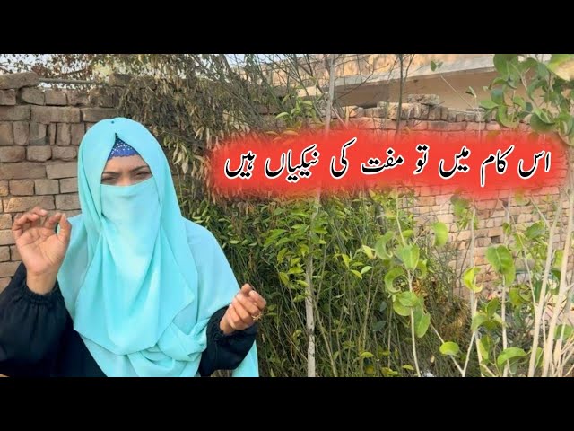 There are free benefits in this job. | help poor people in Pakistan | garden plants in pakistan