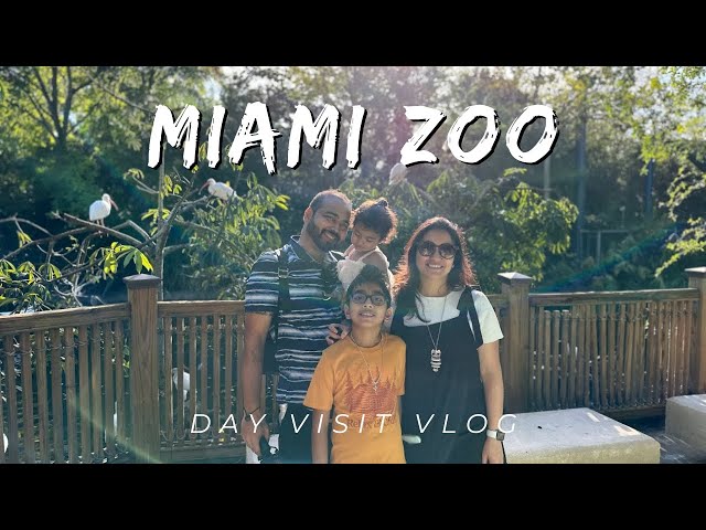 Miami Zoo - Quick Family Daytrip