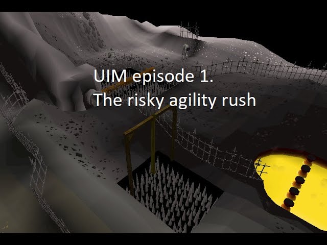 Wilderness Agility Course rush - UIM Pure 1