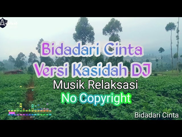 Bidadari Cinta || Musik Relaksasi Versi Kasidah DJ - Sangat Menyentuh Hati