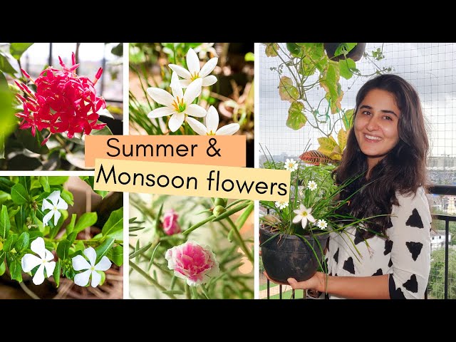 5 Unique Flowering Plants for Indian Summers and Monsoons to Buy