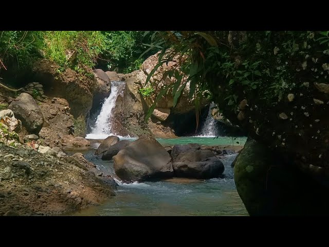 03/02 Rainforest Natural Sleep Aid Relaxation River Meditation Peaceful Rainforest .