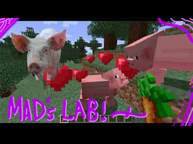 Minecraft Explained: The Pig Ep. 1 | MAD'S LAB