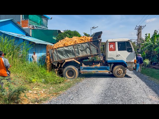 Starting A New Project!! Land Filling by Bulldozer Komat'Su D20P pushing soil With 5ton Trucks