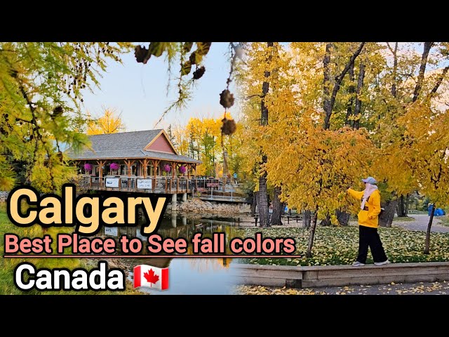 Fall in Calgary 2024 | Best place to see fall colors in Calgary Alberta Canada #Calgary #Alberta