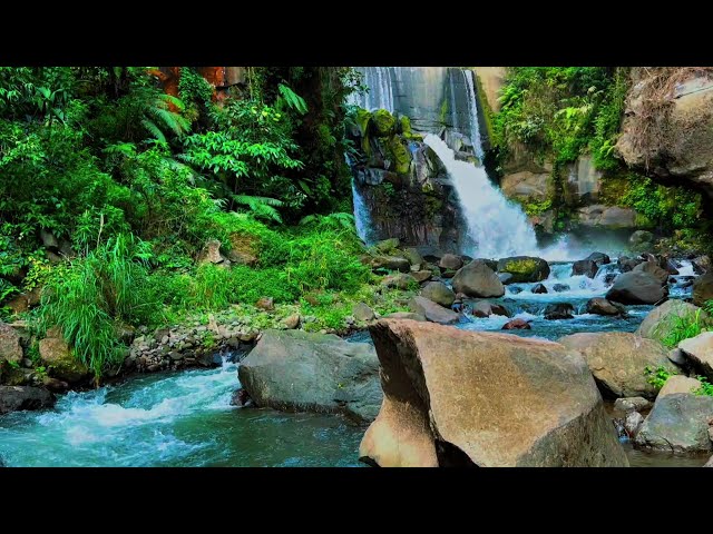 Rainforest sounds, water resident, waterfall sounds for sleeping, river sounds for sleeping