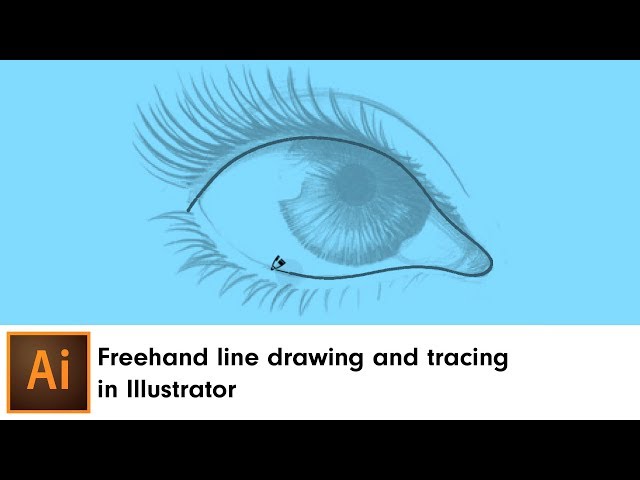 Freehand line drawing and tracing in Illustrator | DynamicSketch