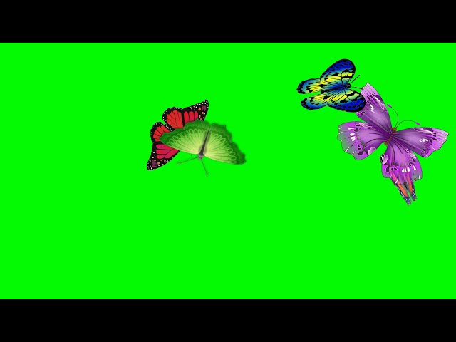 Flower with butterfly flying green screen video effects | green screen