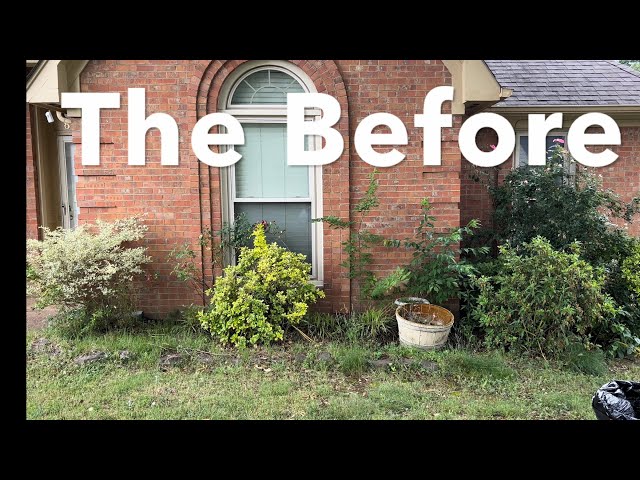 Small Flowerbed Makeover, Before and After Yard Cleanup.