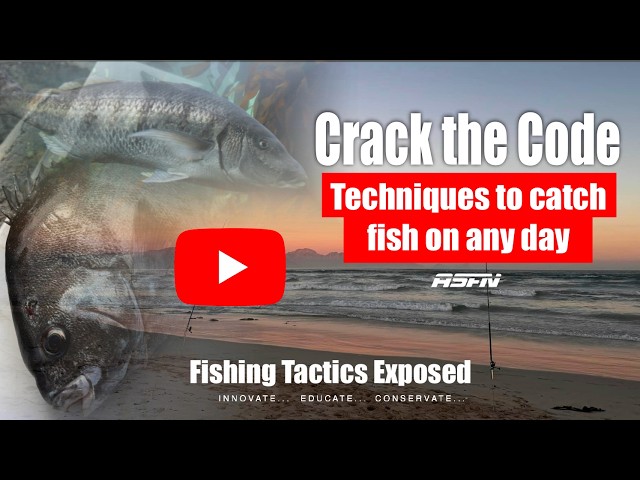 CRACK THE CODE: Catch fish in any conditions | Spot Selection and Bait Techniques | ASFN Rock & Surf