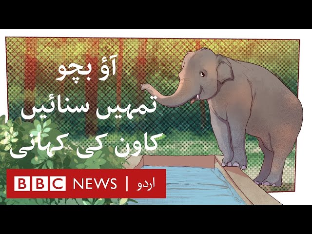 Kavaan: Story of World's Loneliest Elephant - BBC URDU