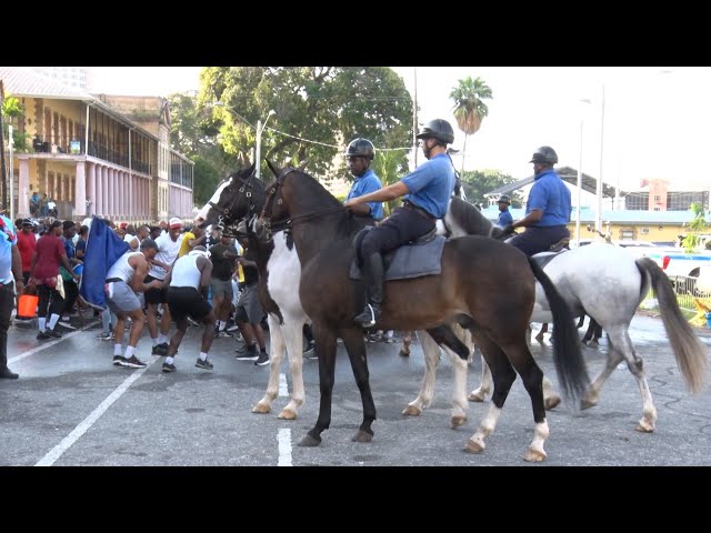 We Focus - The TTPS Mounted And Canine Branch