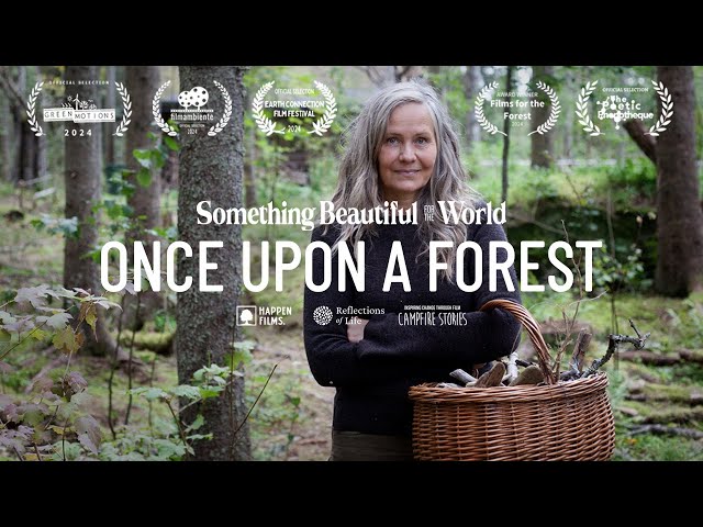 Rewilding A Forest | Artist and Poet Maria "Vildhjärta" Westerberg