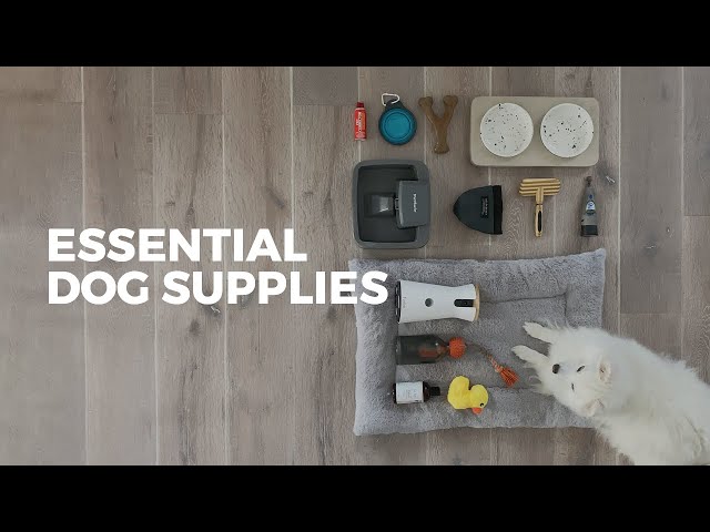 27 Items Every Dog Owner Should Have | ESSENTIAL SUPPLIES