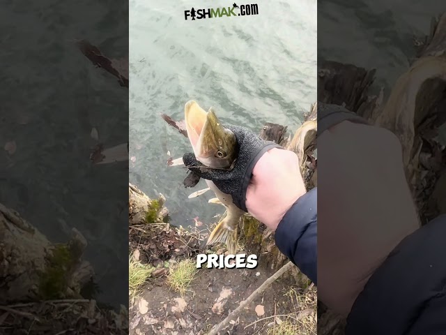 🛶 Beginner or pro, FISHMAK.COM has the gear you need!