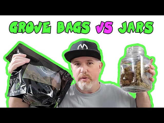 Grove Bags Review: Curing in JARS vs GROVE BAGS + Finding Mold?? // (Mars Hydro FC-8000 5x5 Tent)