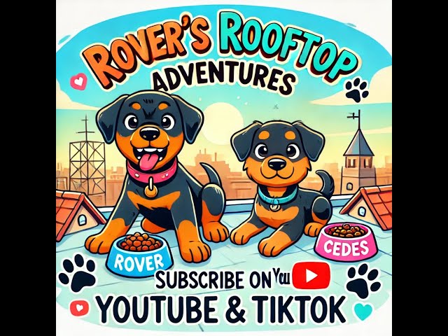 Rover's Rooftop Adventures: Meet My Wife Cedes! 🐾 First Dog Vlog intro Must watch