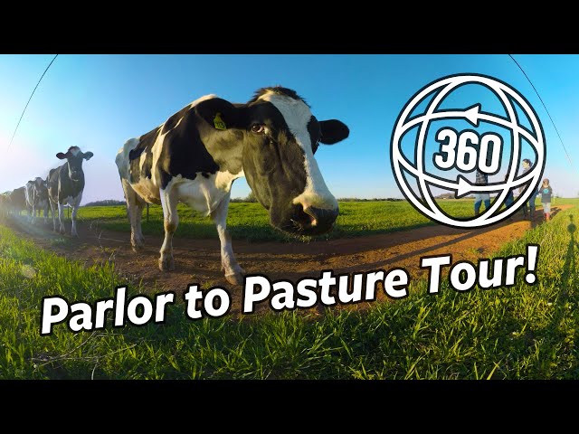 Parlor to Pasture Farm Tour | Organic Valley 360°