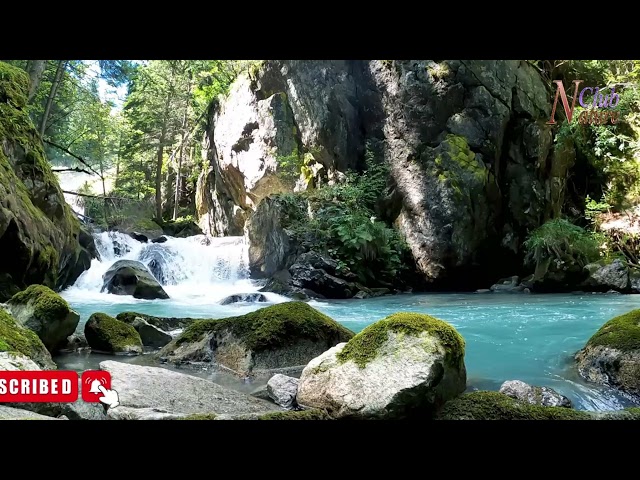 Beautiful sight Relaxing Waterfall Sounds for Sleep  Fall Asleep and Stay Sleeping