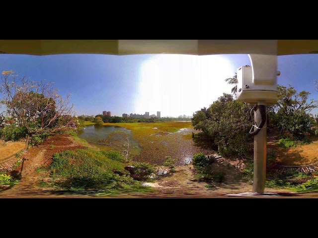 【Live】 洲仔濕地公園 大池觀景台 360 4K全景即時影像