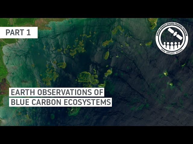 NASA ARSET: Overview of Blue Carbon Ecosystems & Mapping Mangrove Ecosystems, Part 1/2