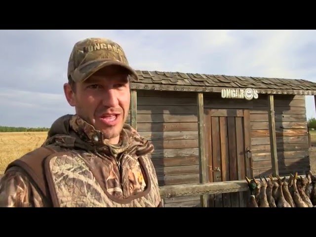 Hired to Hunt #7 1080p HD - Duck Hunting and Goose Hunting in Alberta