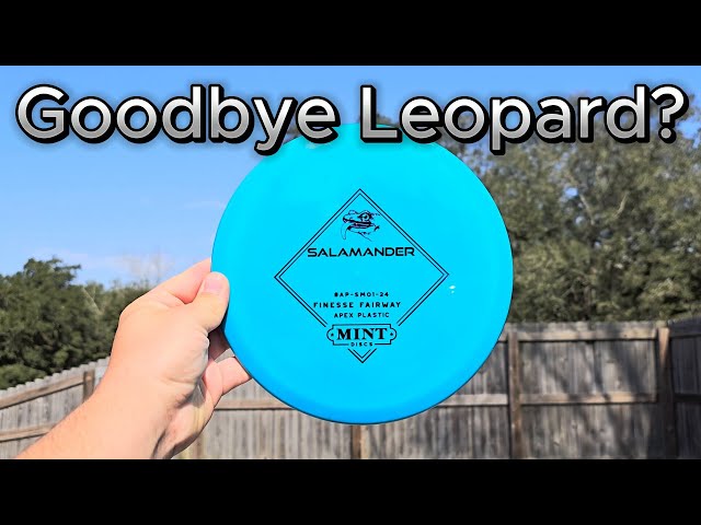 Every Beginner Should Bag This Fairway! - Mint Discs Salamander Rapid Disc Review