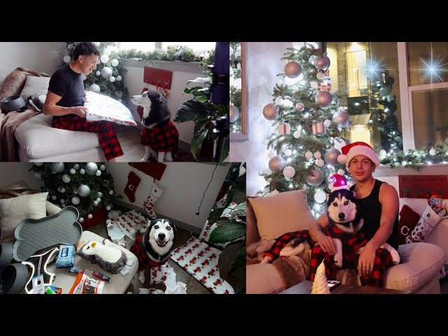 Christmas 2024 vlog