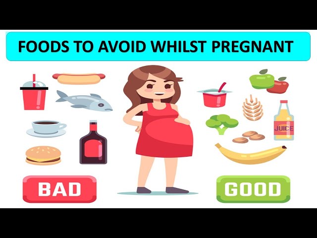 What Foods You Should Not Eat During Pregnancy | Foods To Avoid During Pregnancy