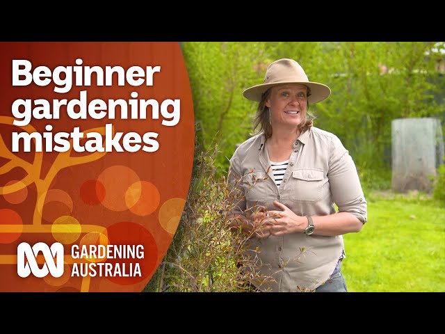 Follow these tips to avoid beginner gardener mistakes | Gardening 101 | Gardening Australia